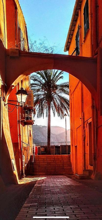 Menton Centre Vue Imprenable Sur Mer Et Jardin Bioves Экстерьер фото